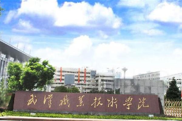你好，我现在是武汉职业技术学院的电子商务专业的毕业生，马上就要找工作了，有哪些可以做？