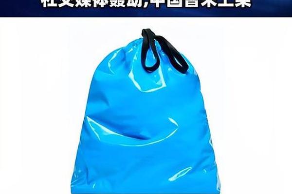 巴黎世家新包像“大垃圾袋”,售价12000元 巴黎世家新包像“大垃圾袋”,售价12000元
