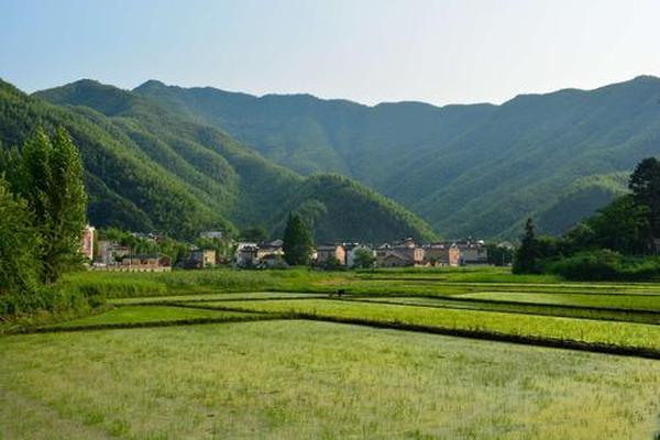 深度 | 中国消费者跑去日本买奢侈品了 深度 | 中国消费者跑去日本买奢侈品了