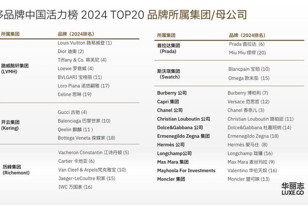 《2024中国奢侈品报告》新闻稿 下降17%,2024年奢侈品牌在中国迎来至暗时刻 《2024中国奢侈品报告》新闻稿 下降17%,2024年奢侈品牌在中国迎来至暗时刻