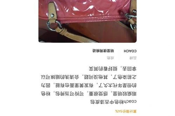 Coach接住了头部奢侈品流失的中产消费者? Coach接住了头部奢侈品流失的中产消费者?