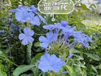 1.照样子写词语宝石蓝 ( ) ( ) 雪白( ) ( )2.国外进口的植物有哪些?( ) ( )
