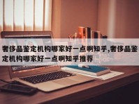 奢侈品鉴定机构哪家好一点啊知乎,奢侈品鉴定机构哪家好一点啊知乎推荐