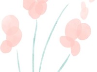 当非遗、时尚与“她”相遇，这场旗袍与女性艺术展惊艳绽放！