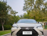 硬生生被国人养活的十辆“伪豪车”，国外没人要，国内当成宝