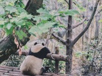 从上海到成都：中国城市时尚进化论