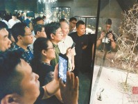 让深圳珠宝博物馆成为“世界珠宝看中国 中国珠宝走向世界”的窗口