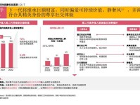 2015年中国奢侈品市场研究报告