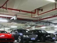 “国民老公”王思聪车库曝光,全是顶级豪车你认识几辆