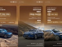 中国豪车的市场格局，被谁颠覆了？｜SocialBeta