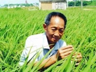 袁隆平一生开什么车?看到它的几辆座驾后,忍不住心酸了