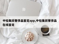 中检集团奢侈品鉴定app,中检集团奢侈品在线鉴定